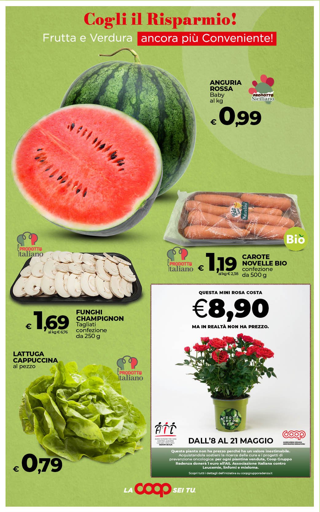 Grandi Marche