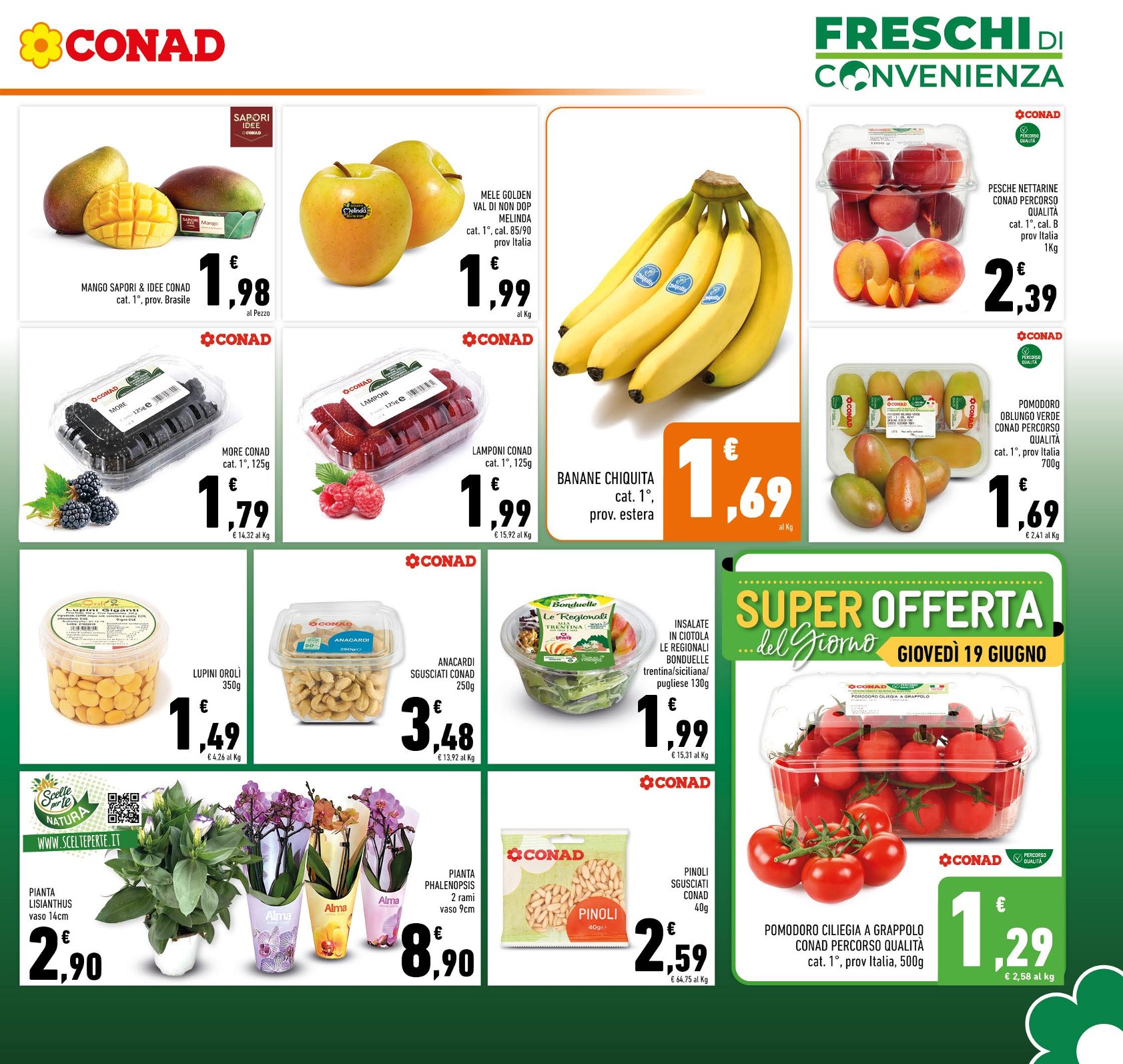 Freschi di Convenienza