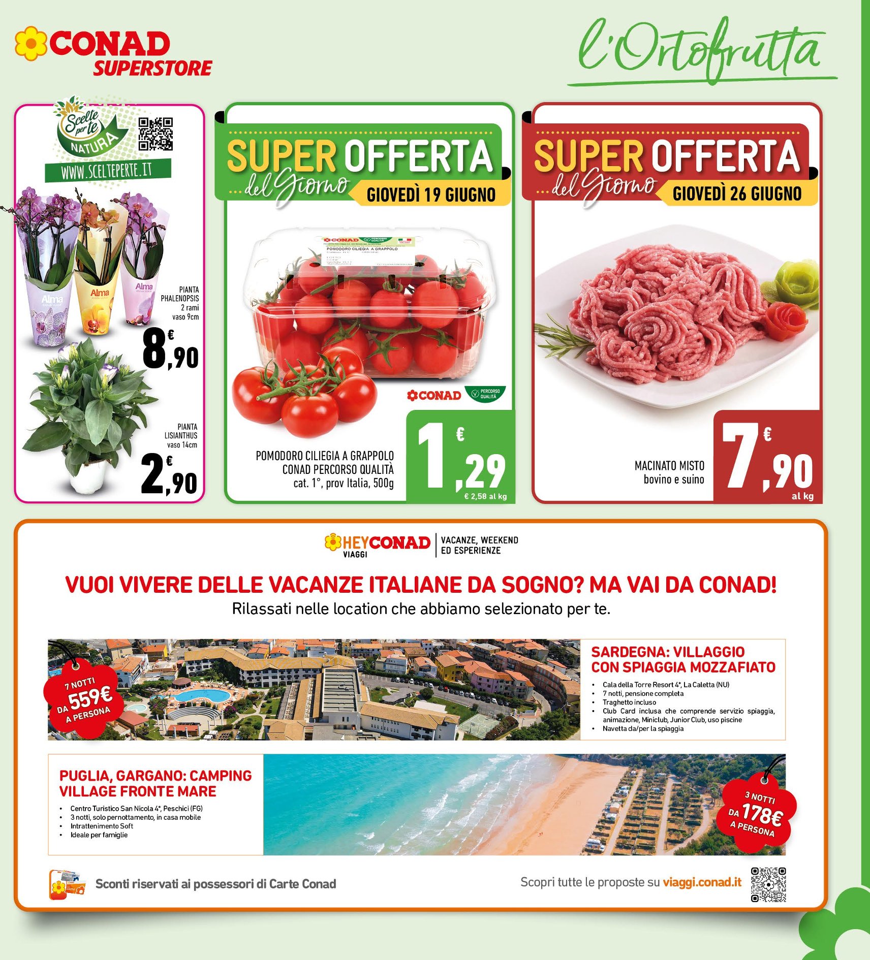 Freschi di Convenienza