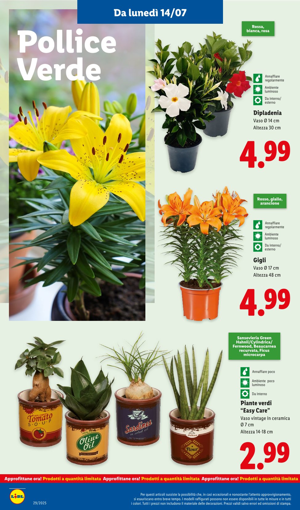Super Offerte