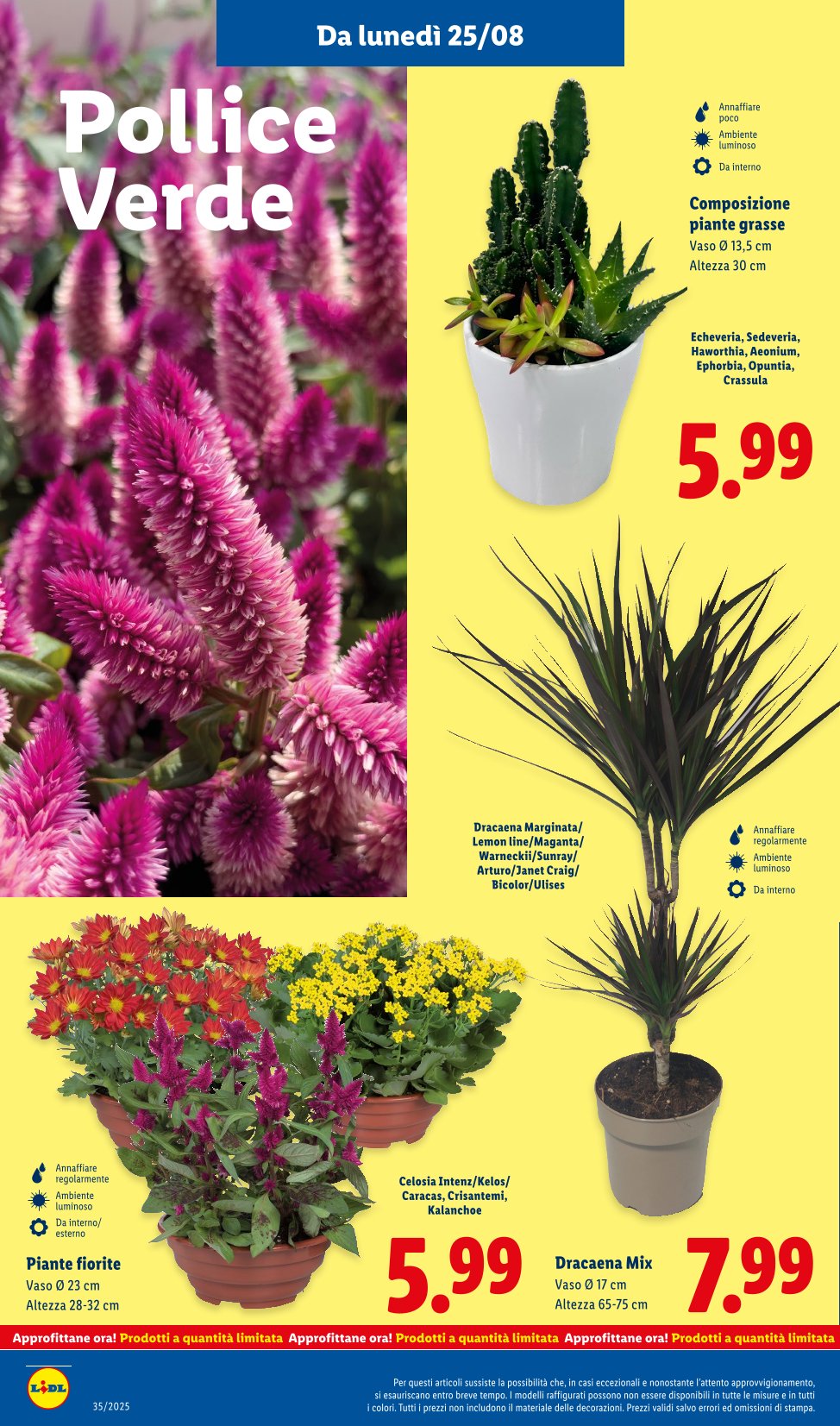 Super Offerte