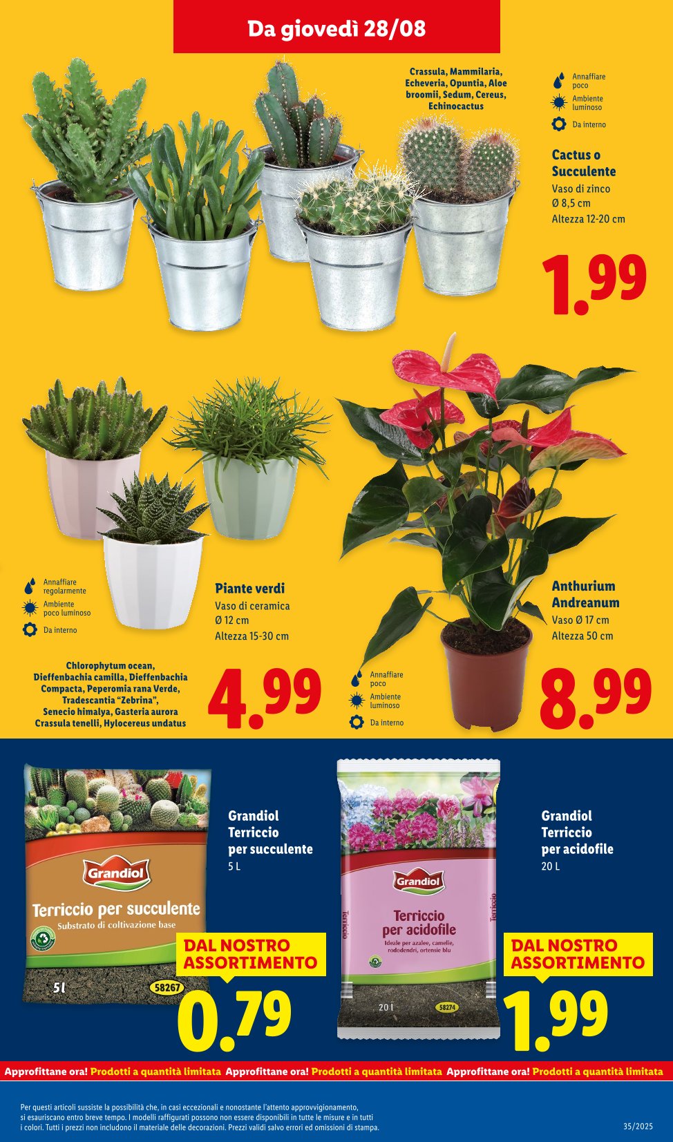 Super Offerte