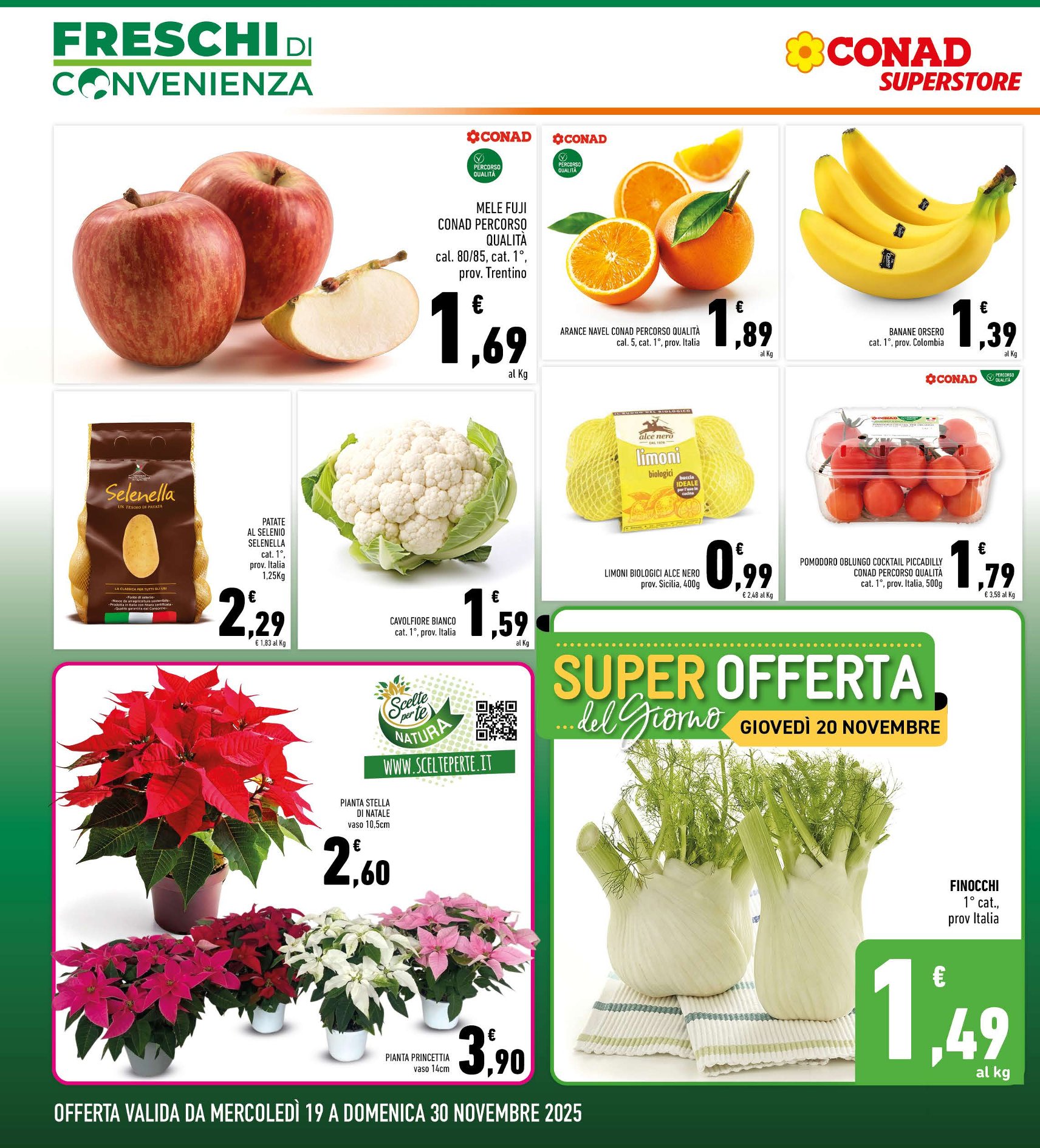 Freschi di Convenienza