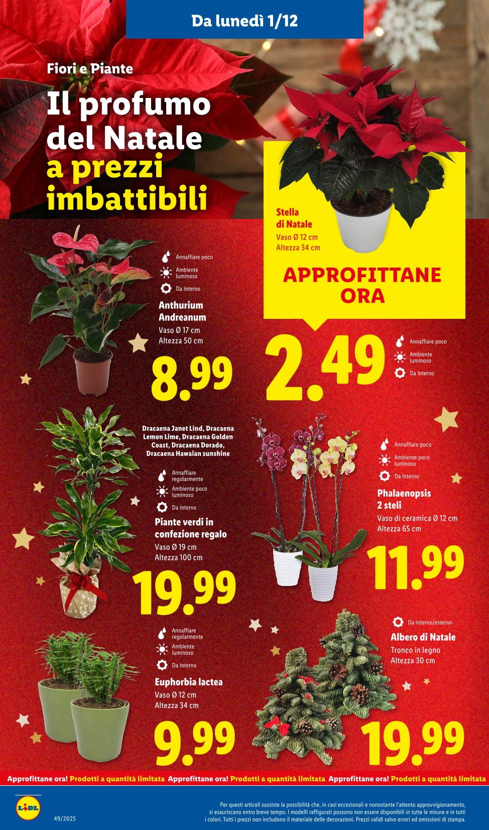 L'emozione del Natale vale davvero