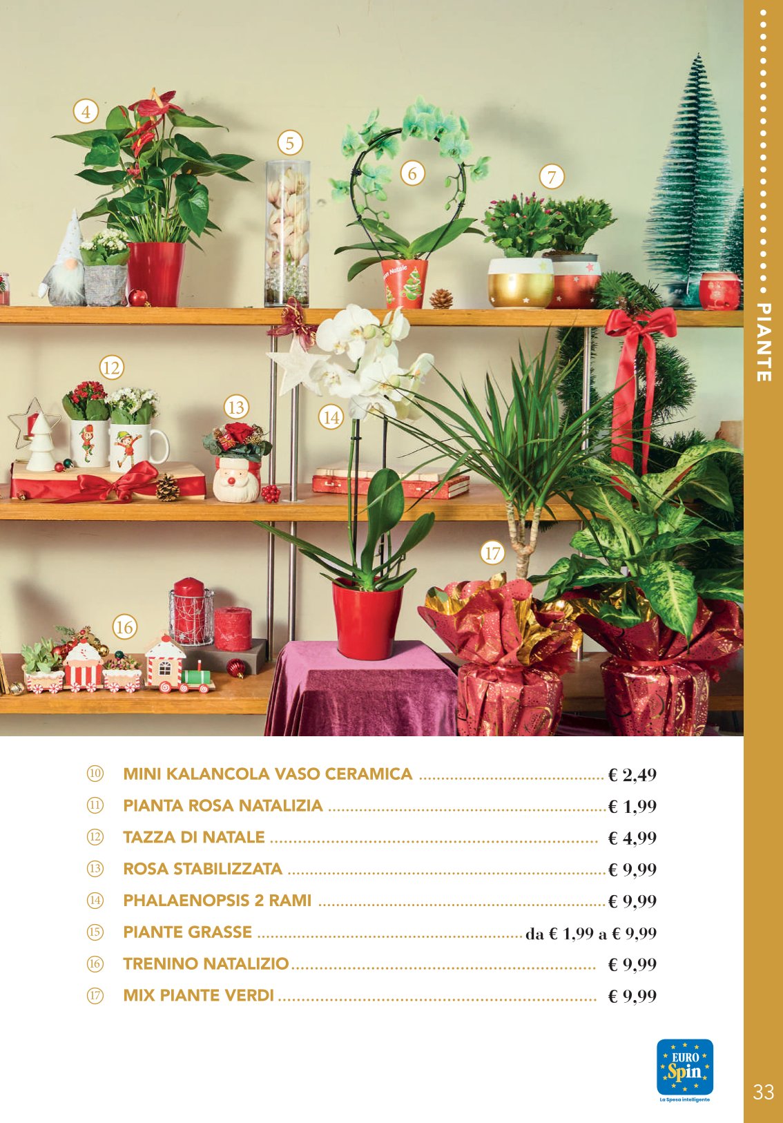 La tavola delle feste