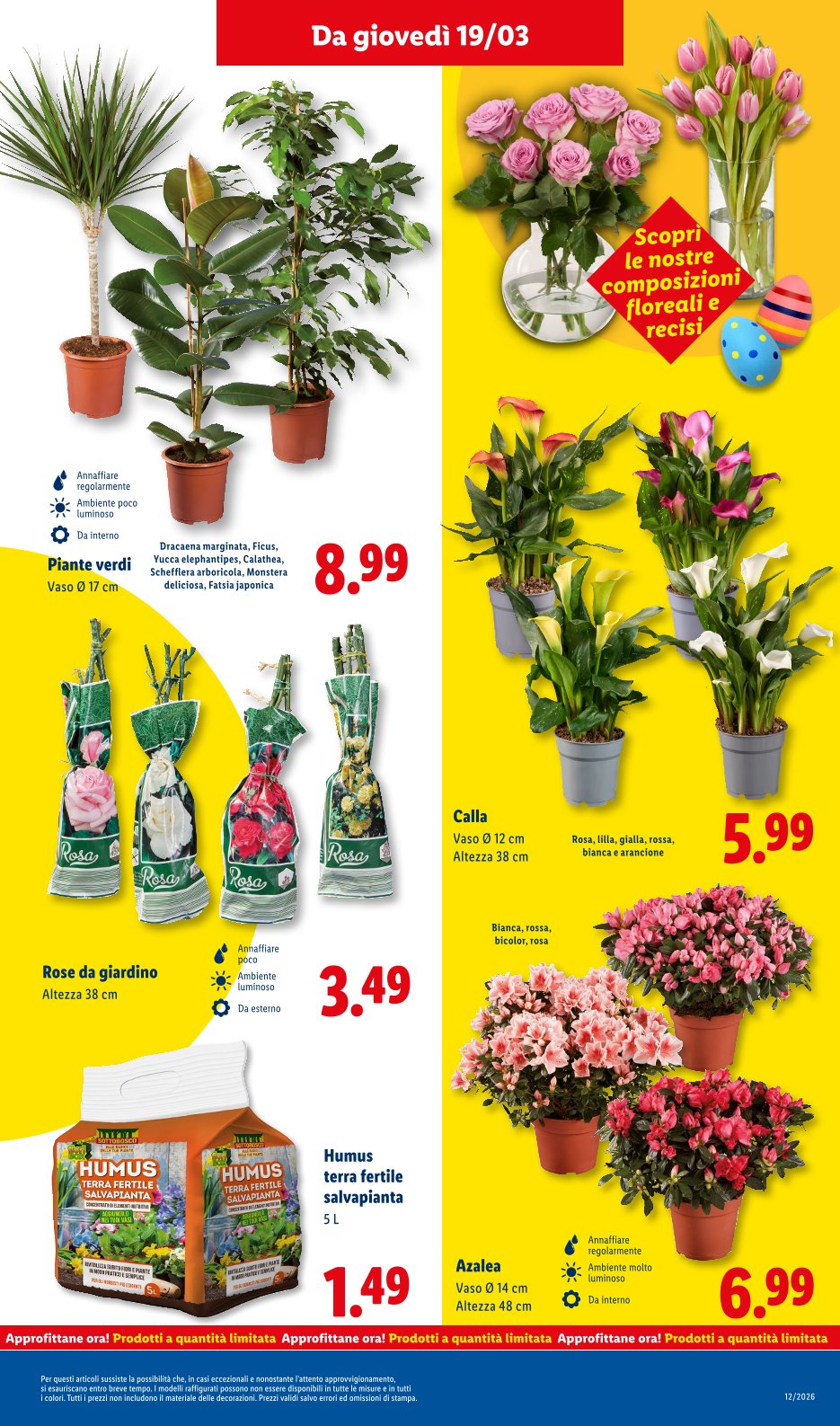 Ogni Giorno Spendi Meno