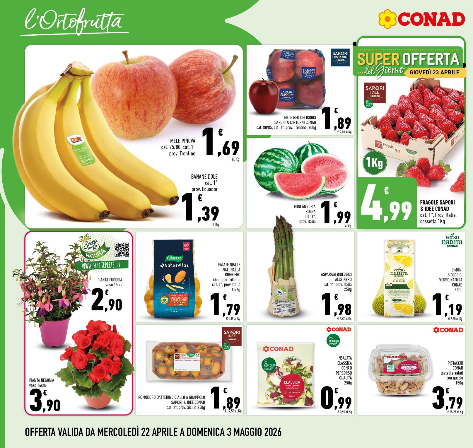 Freschi di Convenienza